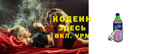 стаф Ростов