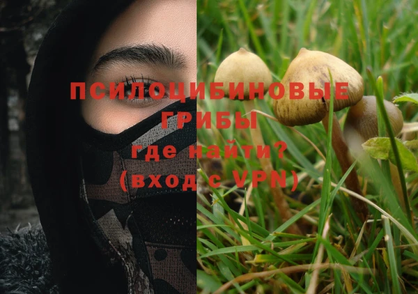 прущие крисы Белоозёрский