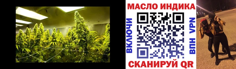 Дистиллят ТГК концентрат  закладки  omg ссылка  Чудово 